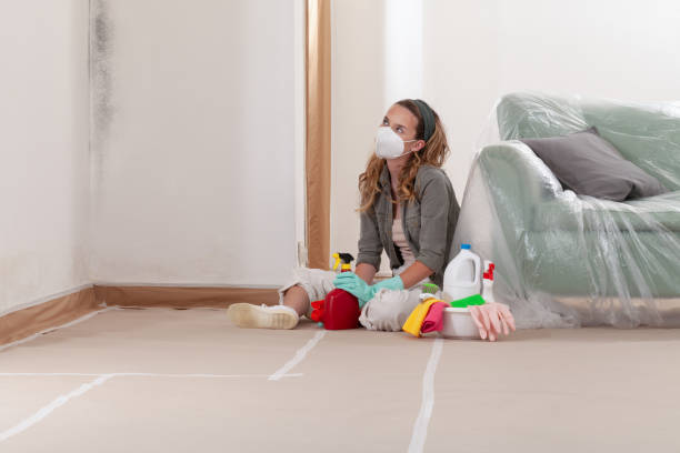 Reliable Mold Remediation contractor in Revere, MA by Mold Remediation HQ